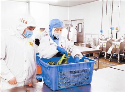 天津確保校園食品安全 監(jiān)管先行，教育軟件賦能